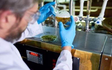 The science of beer and brewing iStock-917832586 1