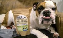 Nectar of the dogs: beer by-product is a real treat Developed using darktable 3.2.1