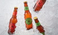 Tribe up stake in growing GF beer market TRI0051_group_ice_03