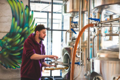 Join brewing equipment innovator Spark Breweries Hops Sized