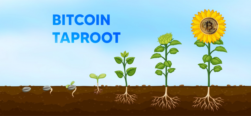 Activation Date Set for Bitcoin’s Taproot Upgrade