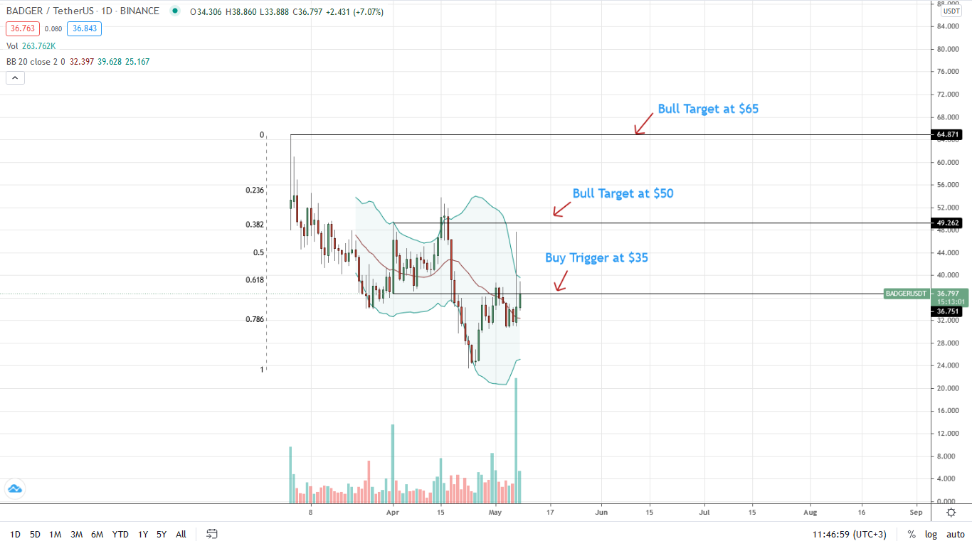 BadgerDAO (BADGER) and REEF Technical Analysis What to Expect?