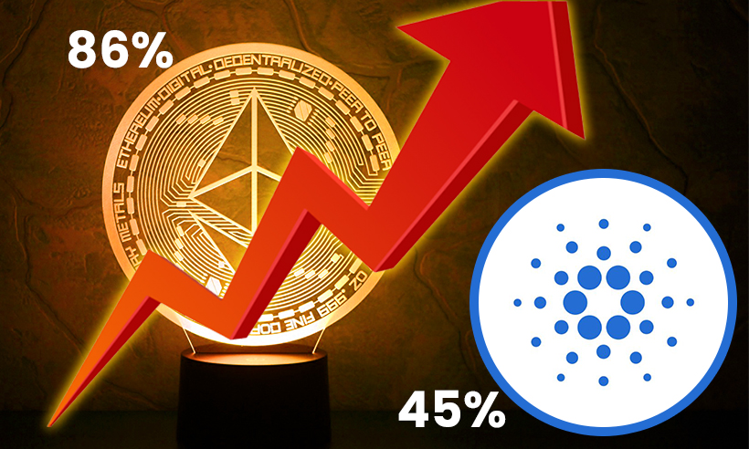 Ethereum Cardano holders