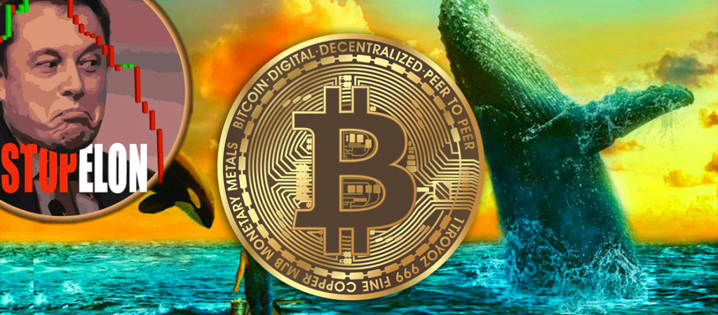 Bitcoin whales Elon Musk