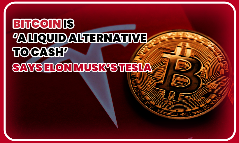 Rough Esteimate Of Liquid Cash Elon Musk Has
