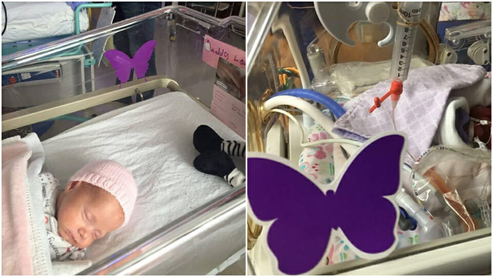 Heartbreaking The meaning behind the purple butterfly stickers on a