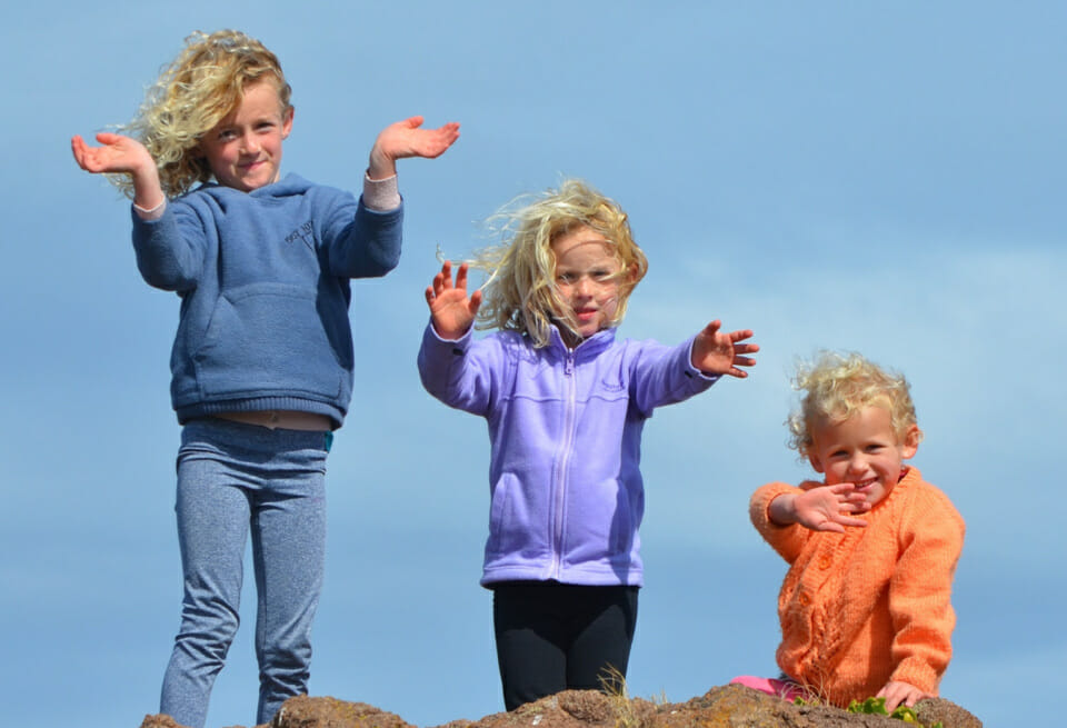 Experts reckon the middle child is going extinct!