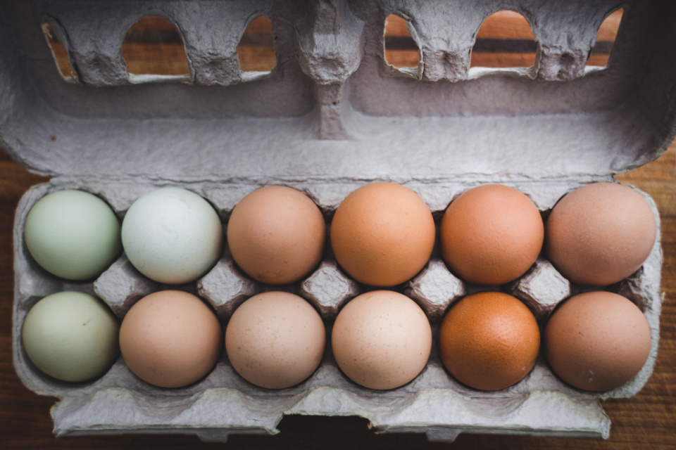 Salmonella crisis continues with 5th EGG RECALL check if you have