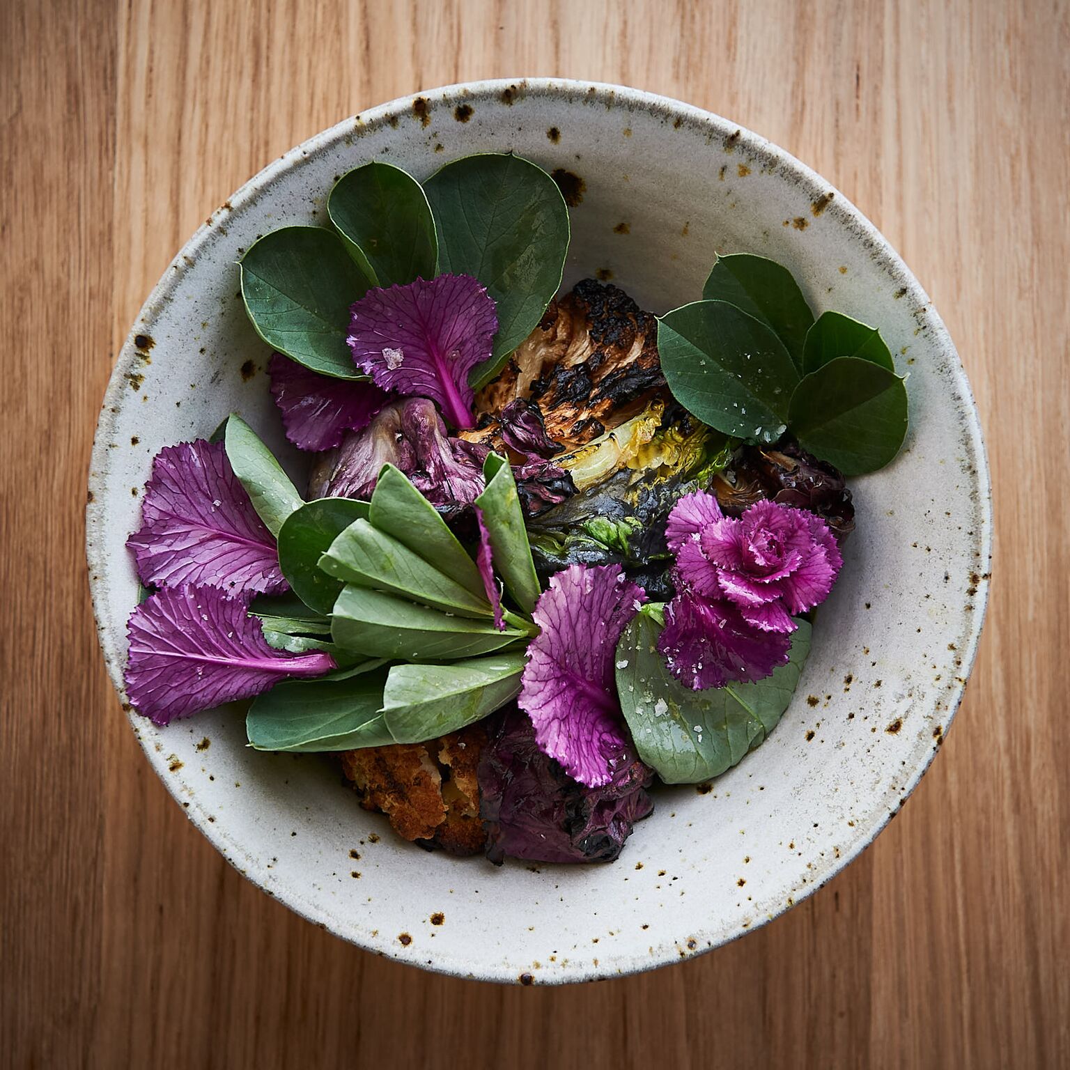 Plantbased restaurant opens in Sydney hospitality
