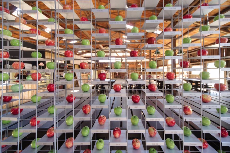 appleshed hospitality Magazine