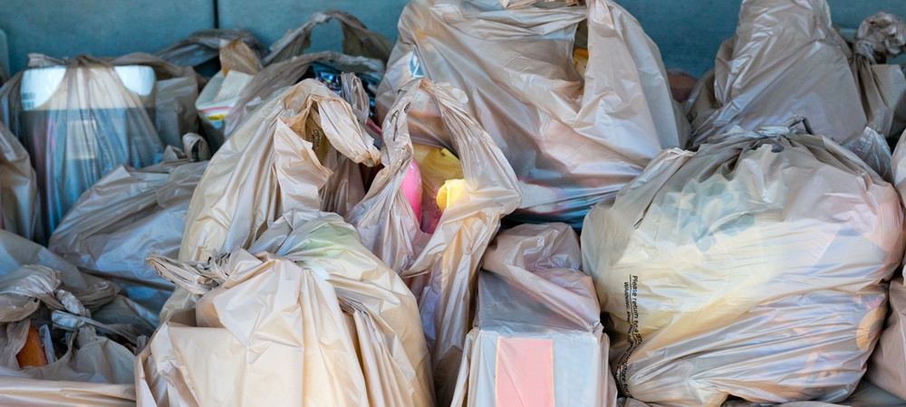 plastic bag ban