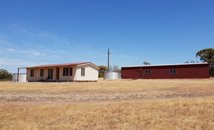 Maple Leaf Investments Buy 600 000 Sandalwood Plantation Urban