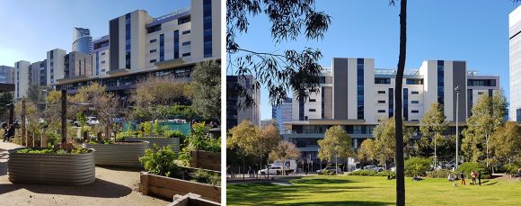 The Victoria Harbour community garden and Docklands Places and Spaces, part two: Victoria Harbour