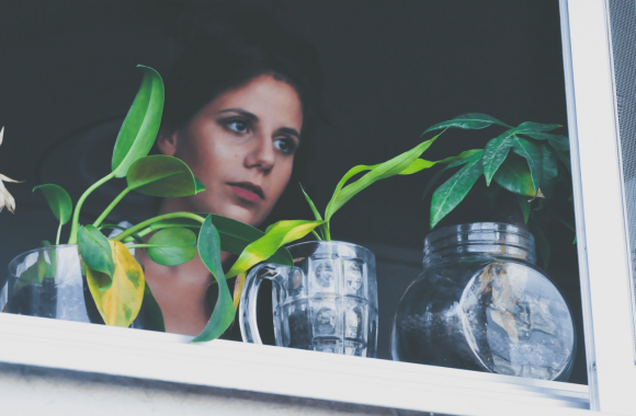 10 Benefits of Having Plants in the House