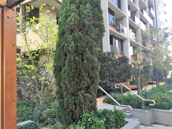 The gardens draw on rainwater collected from the rooftop and grey water. Moving on up: Upper West Side unveils its rooftop garden