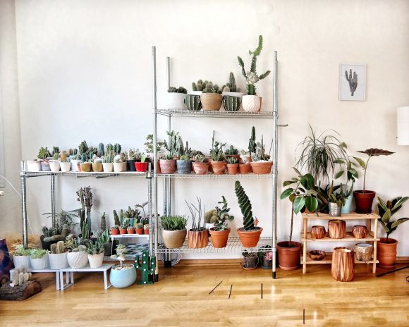 Create green spaces