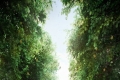 Toorak Park apartments open doors to lush parkland setting