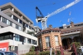 Hawthorn in construction mode