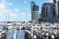 Probuild delivers Marina Tower ahead of schedule