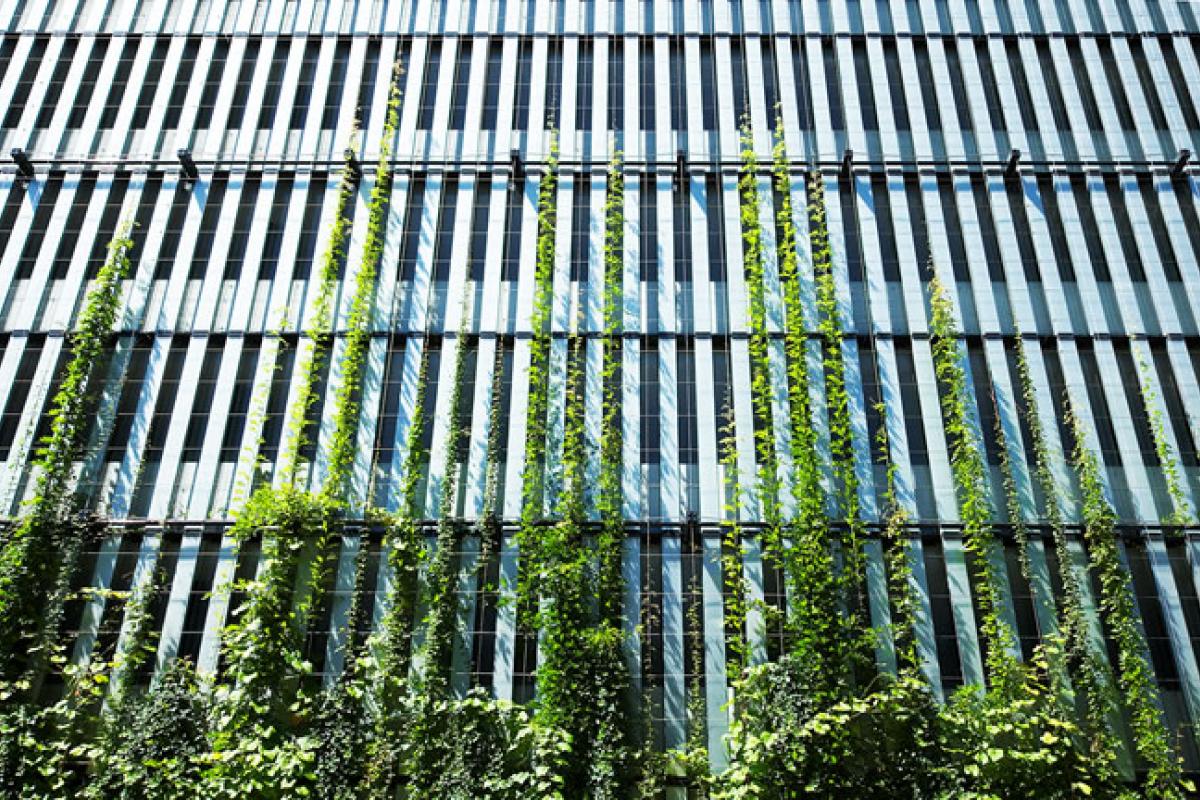 Meinhardt's take on green facade progression Meinhardt's take on green facade progression