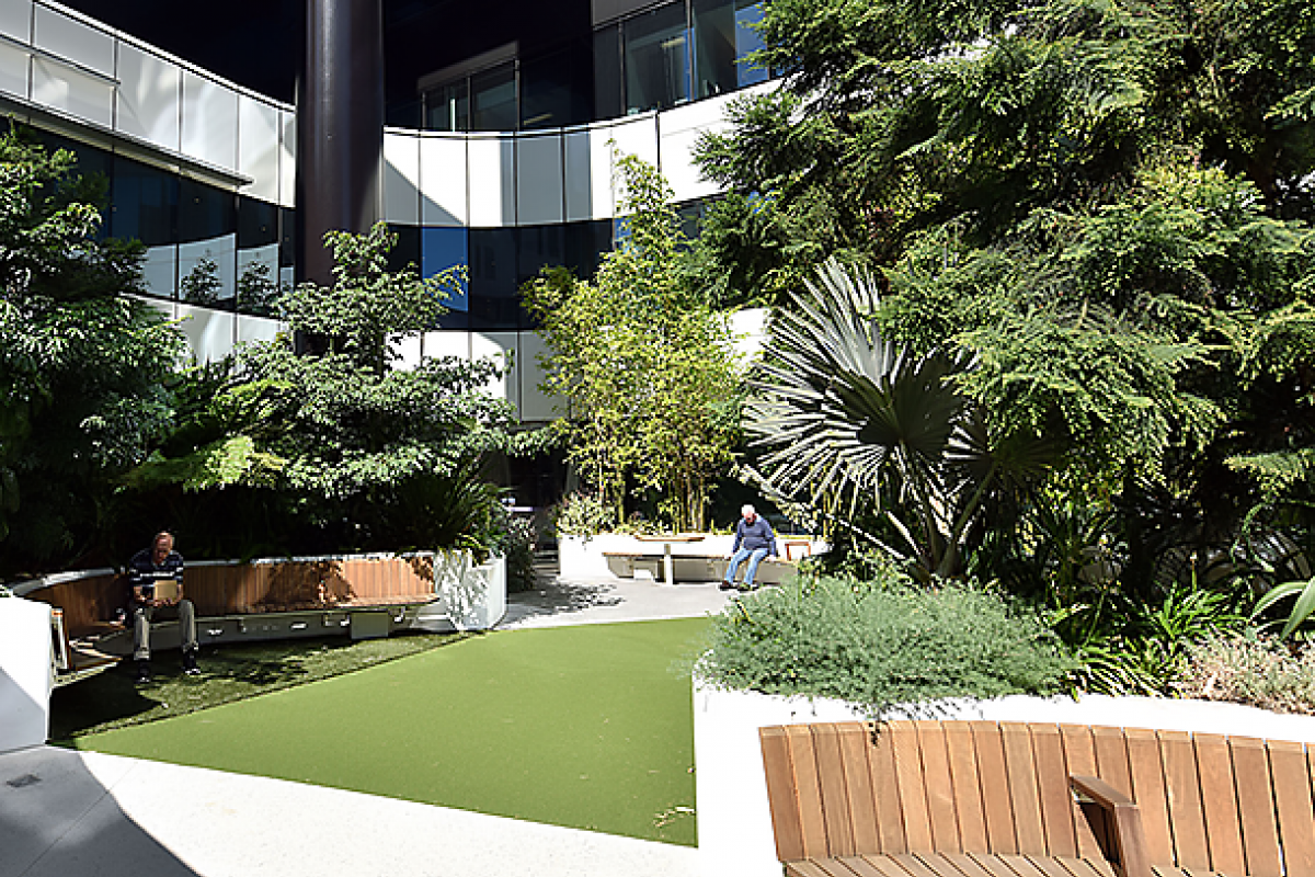 Victorian Election 2018: AILA Victoria calls for increased investment in green infrastructure Victorian Election 2018: AILA Victoria calls for increased investment in green infrastructure