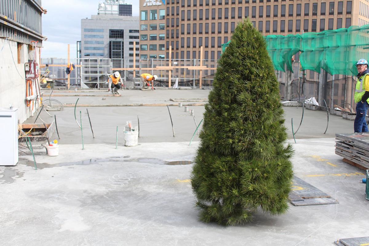 35 Spring Street marks its place in the skyline 35 Spring Street marks its place in the skyline