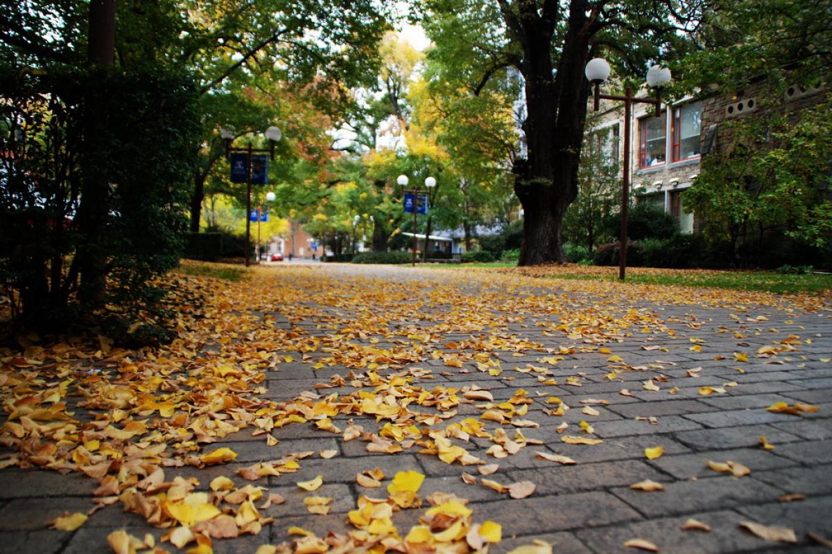 Gardening against learning: how campus design kills conversation Gardening against learning: how campus design kills conversation