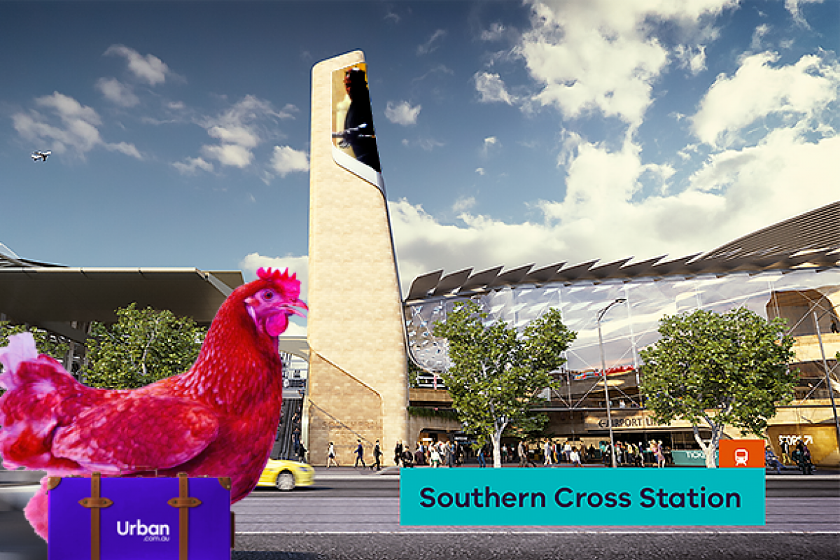 Why did the chicken cross the road? To get to the airport - Part One Why did the chicken cross the road? To get to the airport - Part One
