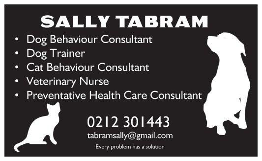 Every problem has a solution! Dog training, puppy school and behaviour consultations