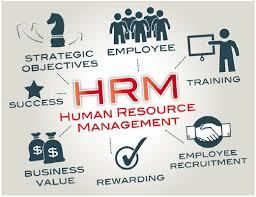 Human Resource Assignment Help