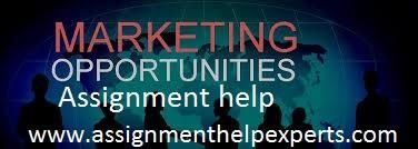 Marketing Assignment Help