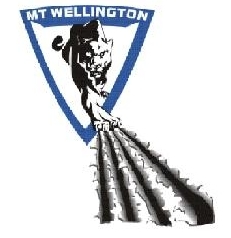 Mt Wellington Panthers