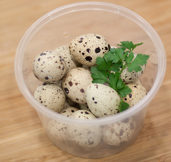 Fresh quail eggs x 2 Dozen Delivered YourGrocer