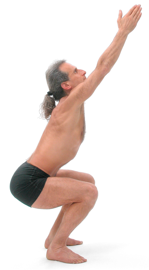 Figure 9: Utkatasana (powerful chair pose): To generate janu bandha i.e. the simultaneous tensing of front thigh muscles (quadriceps) and rear thigh muscles (hamstrings) start with the legs straight and ‘pull up the knee-caps’ then -- without losing the sensation of pulling up the knee caps – bend the knee slightly to utkatasana (powerful chair pose) using the hamstrings.