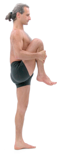 Figure 10: Utthita pavanmuktasana (wind releasing pose): This posture should be started with the standing leg slightly bent (flexed) at the knee so the front thigh muscles (quadriceps) are active. Lean the trunk forward and pull the leg that’s in the air as close to the trunk as possible. Keep the leg and the trunk as close together as possible then lean backwards with trunk and try to straighten the standing leg. This exercise usually causes the rear thigh muscles (hamstrings) to become active at the same time as the front thigh muscles (quadriceps) and hence generates janu bandha.