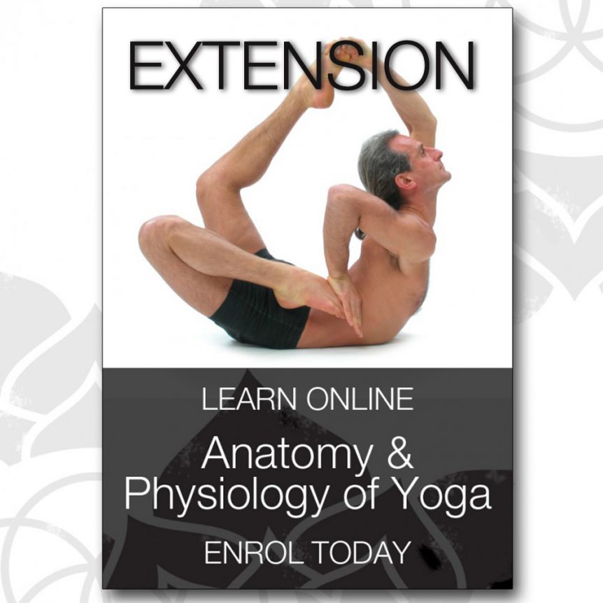 Anatomy & Physiology of Yoga One Month Extension Yoga Synergy
