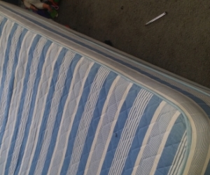 Single bed and 2 arm chair's