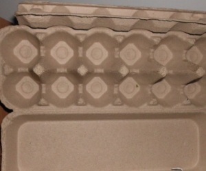 egg cartons