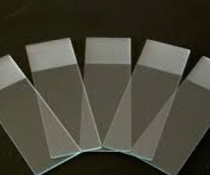 Glass Microscope slides