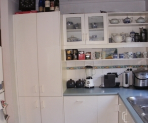 Kitchen Cabinets + appliances