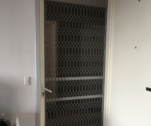 White Security Door