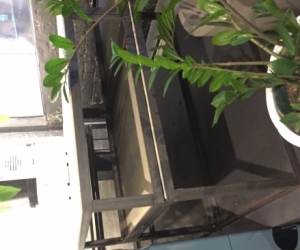 Free Plinths and Desk