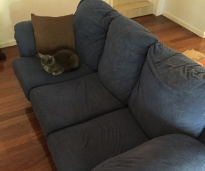 3 seater couch (cat and batteries not included)