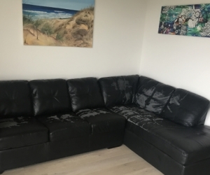 Free couch with sofa bed