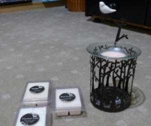 CANDLE MELT HOLDER & MELTS