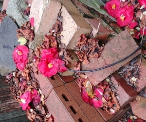 Bricks and concrete trough