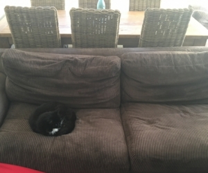 Plush Chaise Lounge