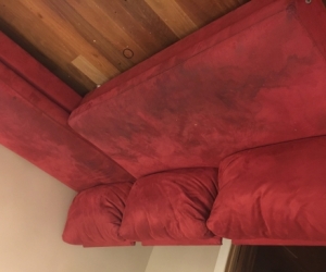 Two couches