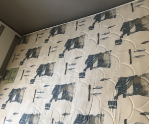 Free queen sized mattress
