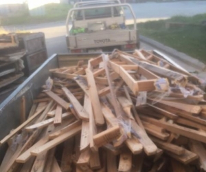 Firewood